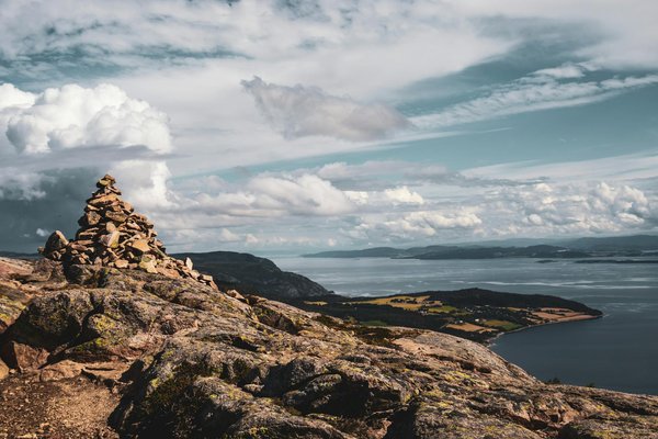 Quels sont les meilleurs spots pour observer les dauphins en Nouvelle-Zélande?