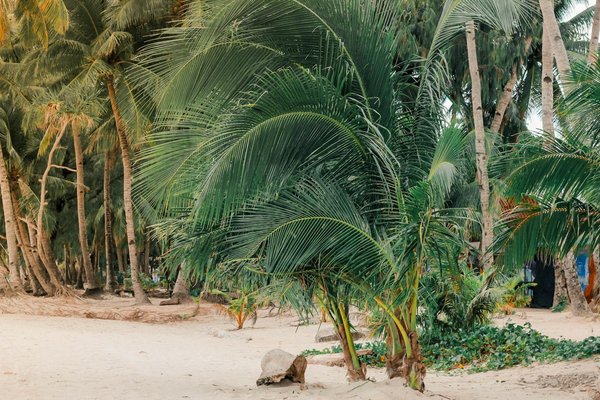 Quels sont les meilleurs itinéraires pour une randonnée dans les montagnes de la Sierra de Guadarrama, Espagne?